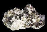 Pyrite, Galena, Sphalerite and Quartz Association - Peru #99696-1